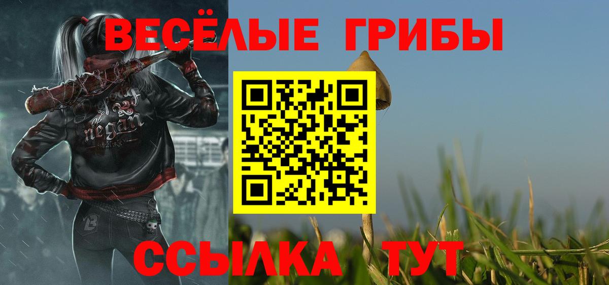 Старая Купавна  Галлюциногенные грибы ЛСД  Вход с VPN 
