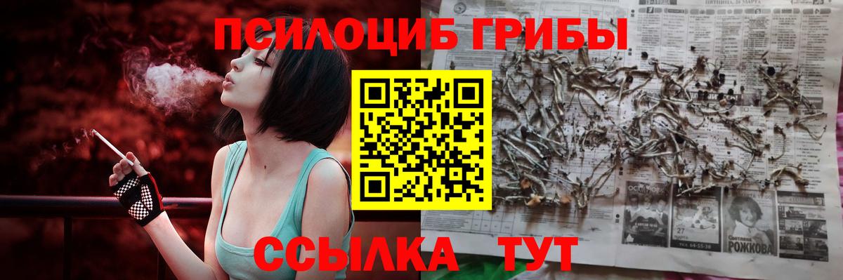 Псилоцибиновые грибы Magic Shrooms Старая Купавна